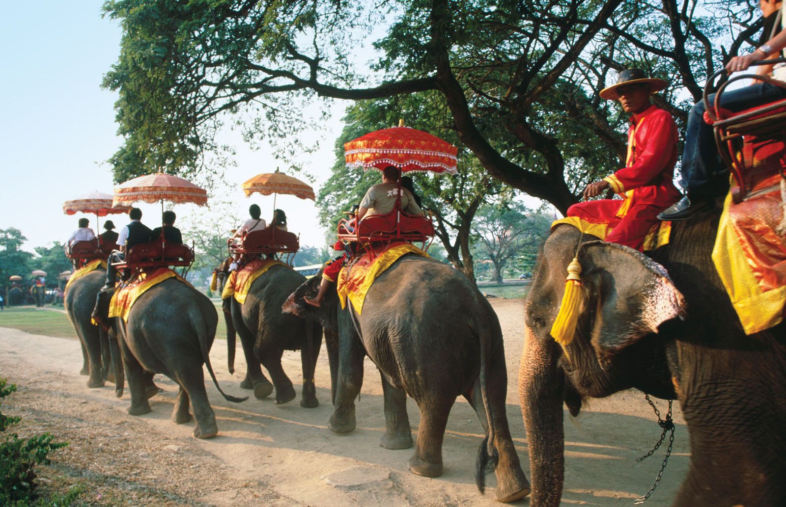 riding elephant