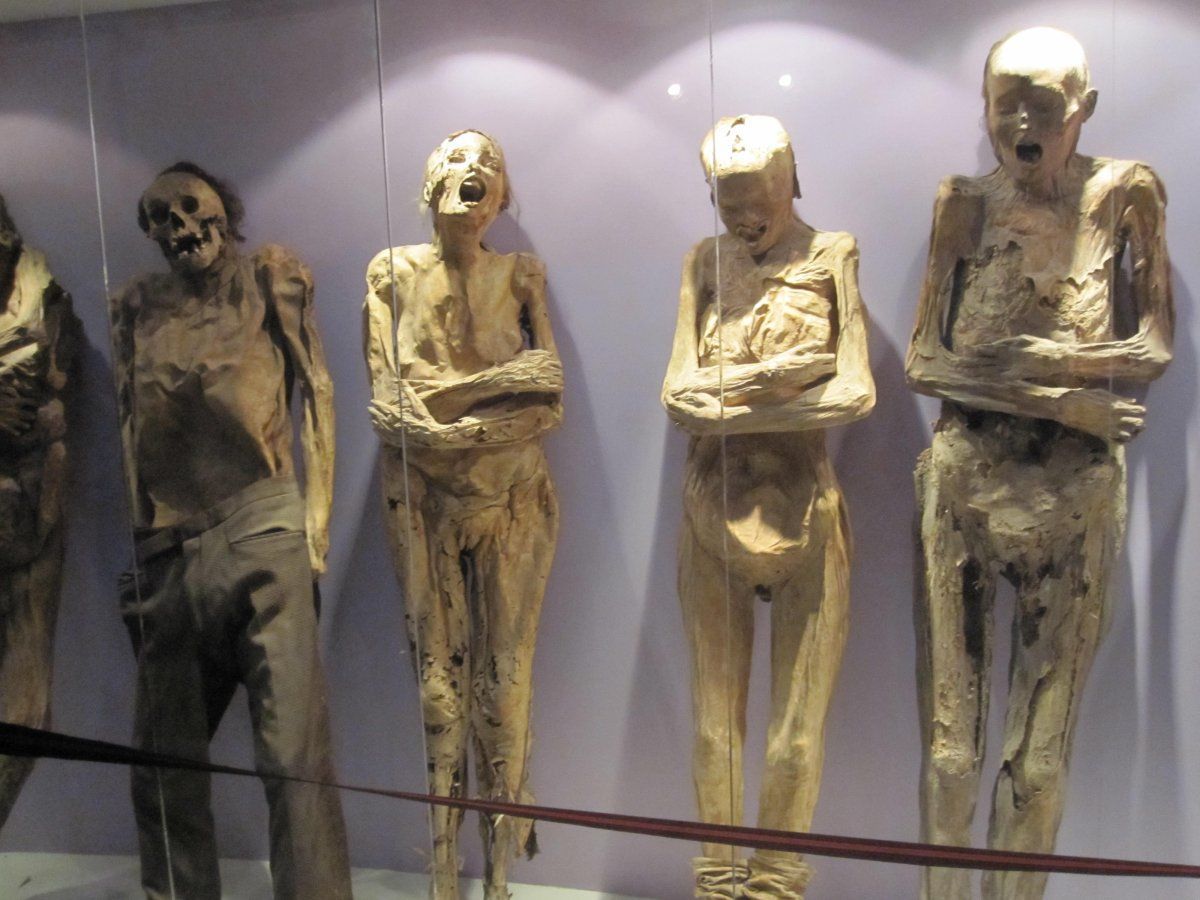 Mummy Museum Mexico