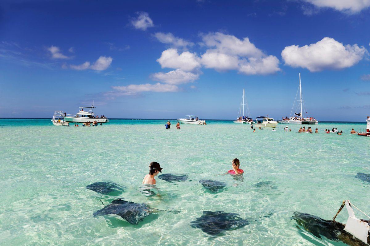 Stingray City Sandbar, Grand Cayman