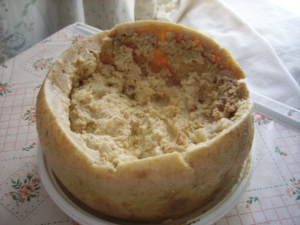 Casu Marzu Cheese