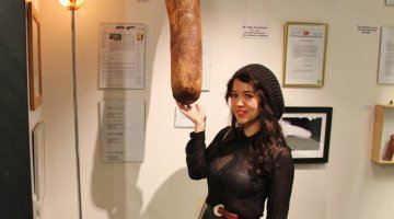 Penis Museum – Reykjavik, Iceland