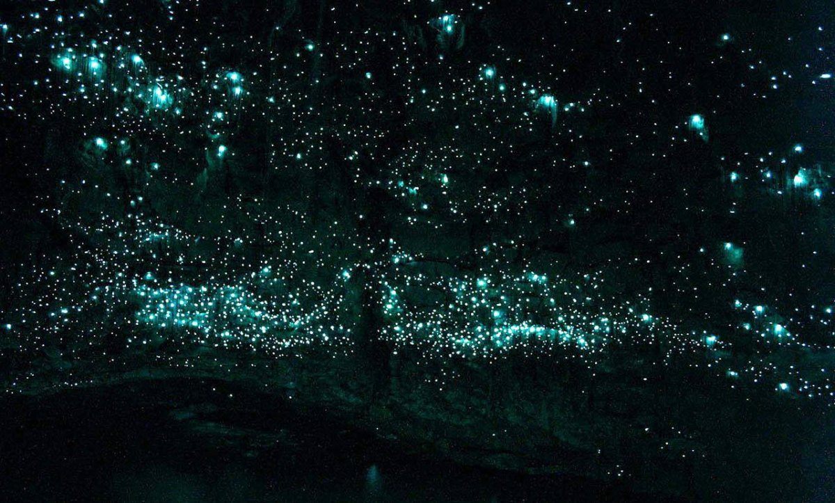 Glowworm Grotta, Waitomo, New Zealand