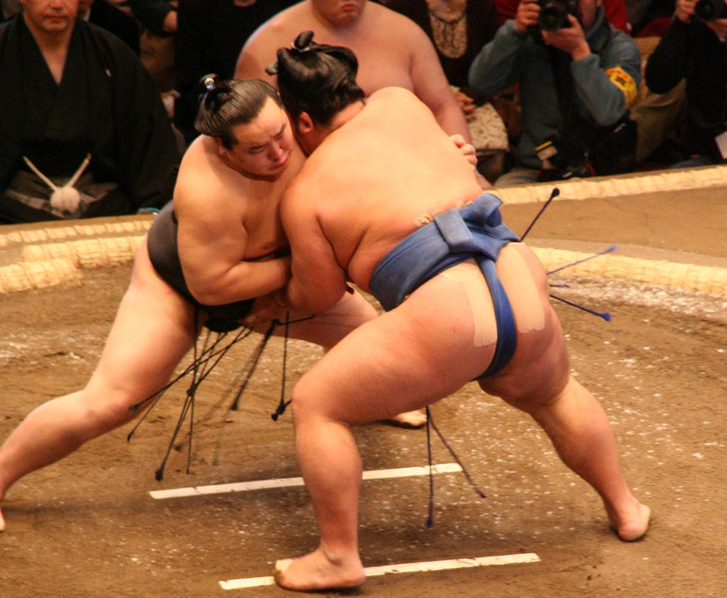 Sumo Museum