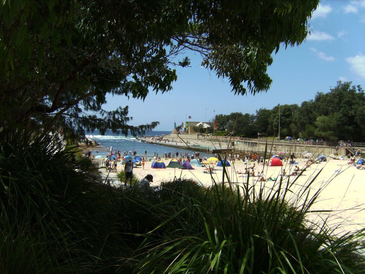 Great snorkeling at Clovelly Beach, Sydney