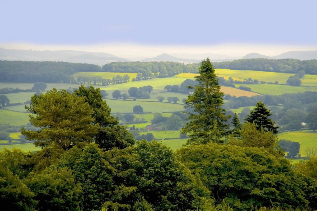 Green valley views from Offa's Dyke trail