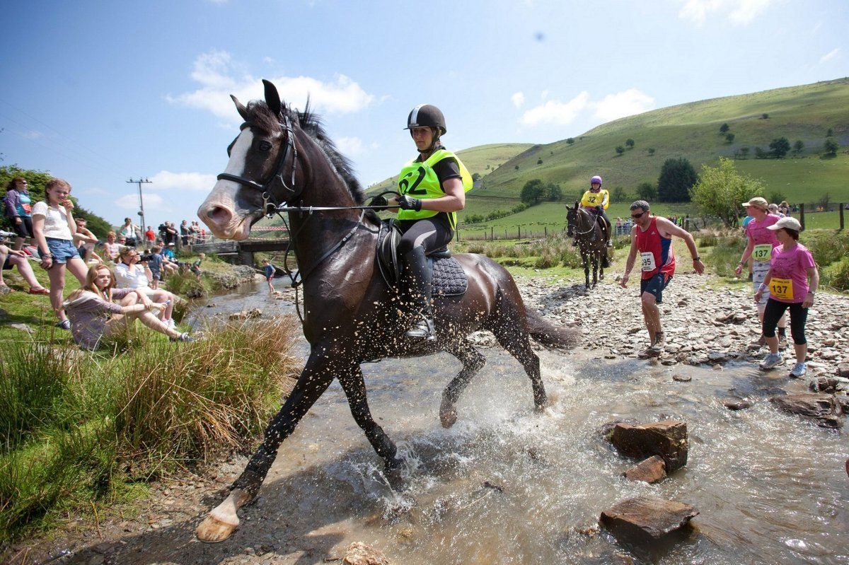 Man vs. Horse marathon in Wales