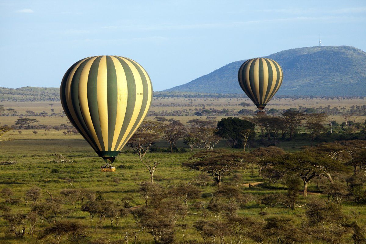 Jessica and Justin took a hot air balloon safari over the Serengeti on their honeymoon..