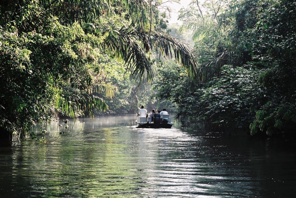 Parque Nacional Tortuguero