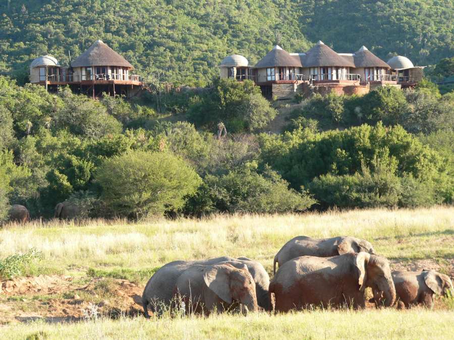 Addo Elephant National Park