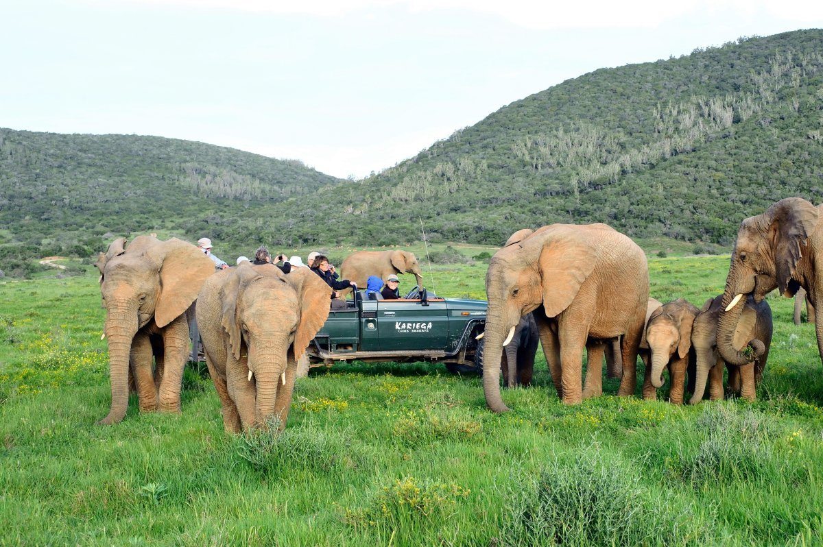 Kariega Game Reserve