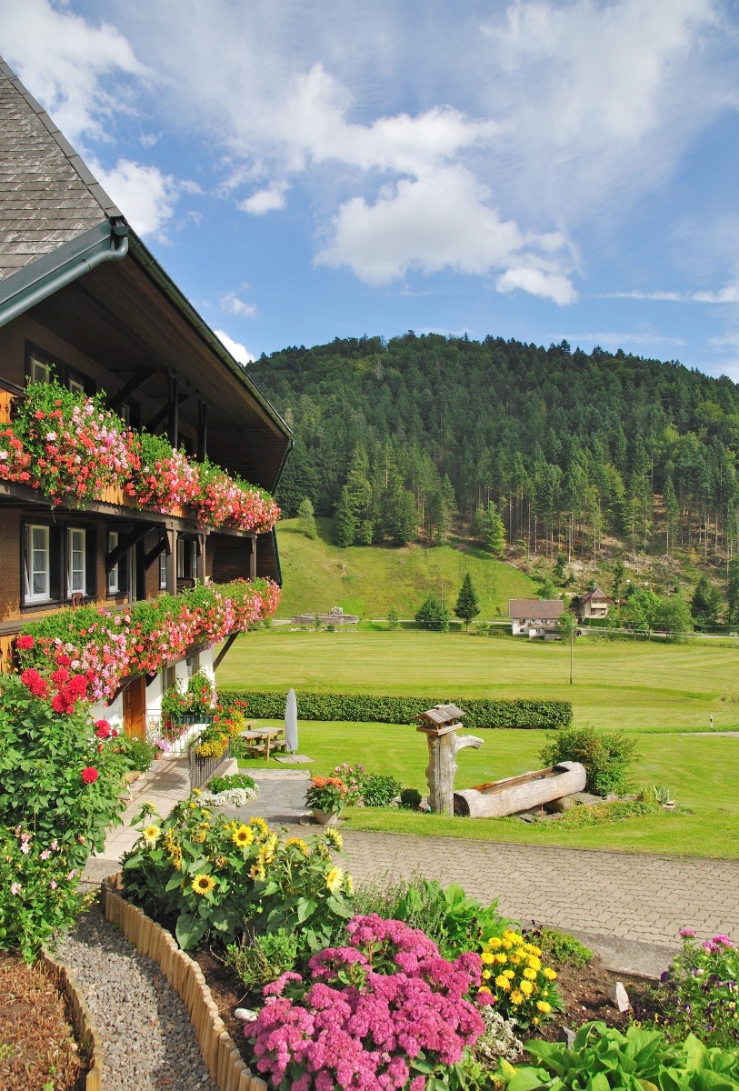 Interesting facts about Germany, the Black Forest