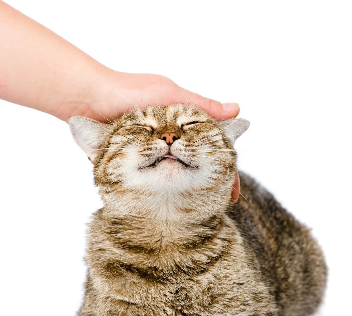 A pat on the head is offensive in Asia