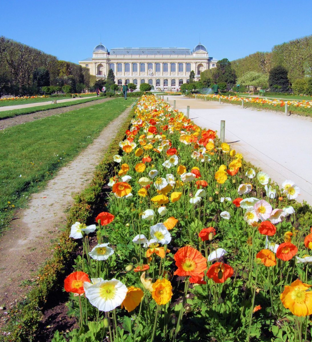 Learn and play at the Jardin des Plantes in Paris