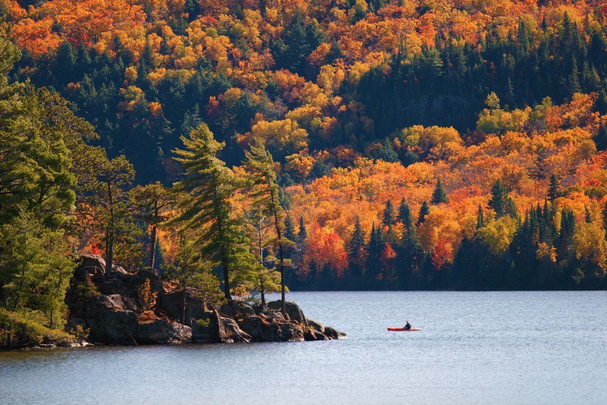 Fall Colors Algonquin Park
