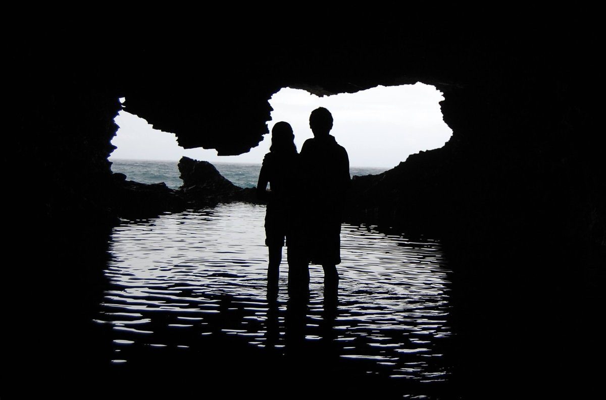 Barbados Animal Flower Cave