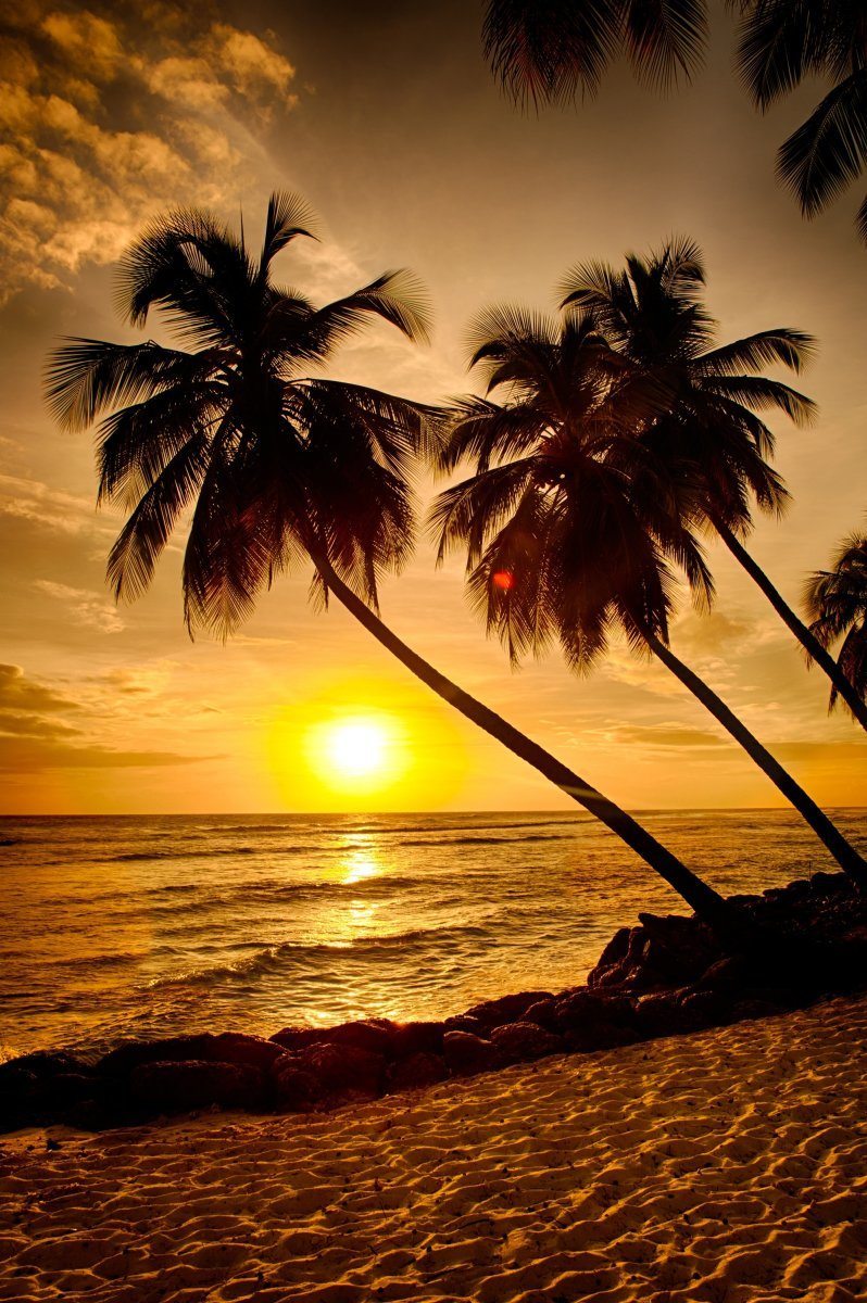 West Coast of Barbados