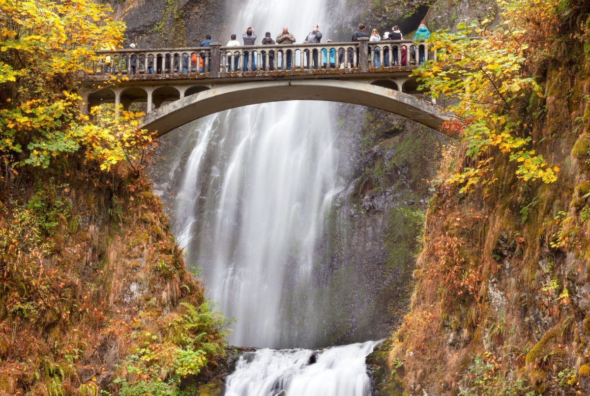 Fall colors Multnomah Falls, Oregon