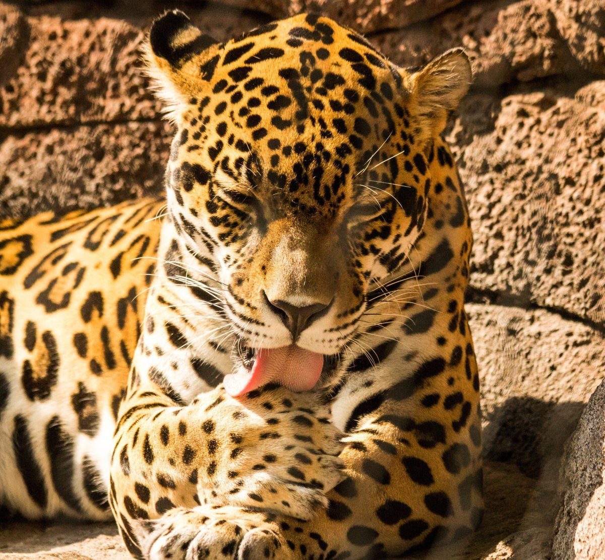zoos