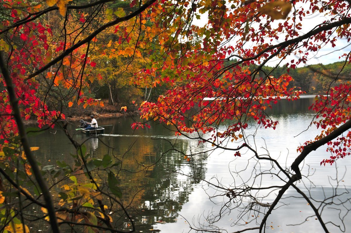 Fall colors Walden Pond