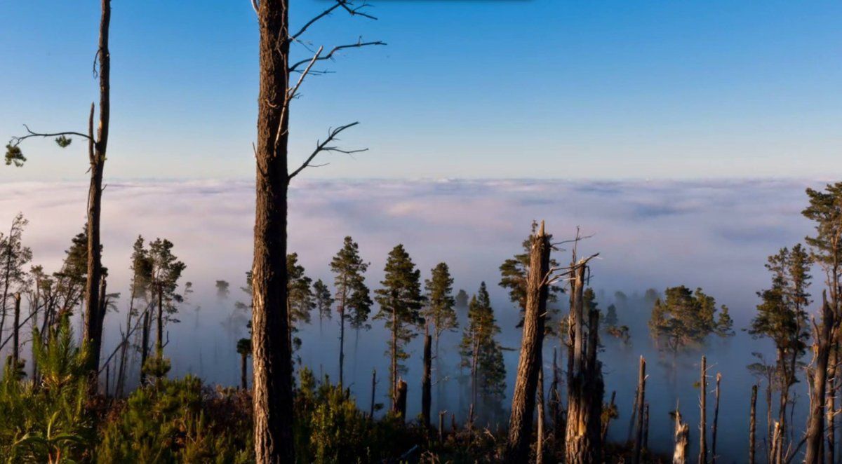 Probably the Most Beautiful Time Lapse Video Ever Recorded