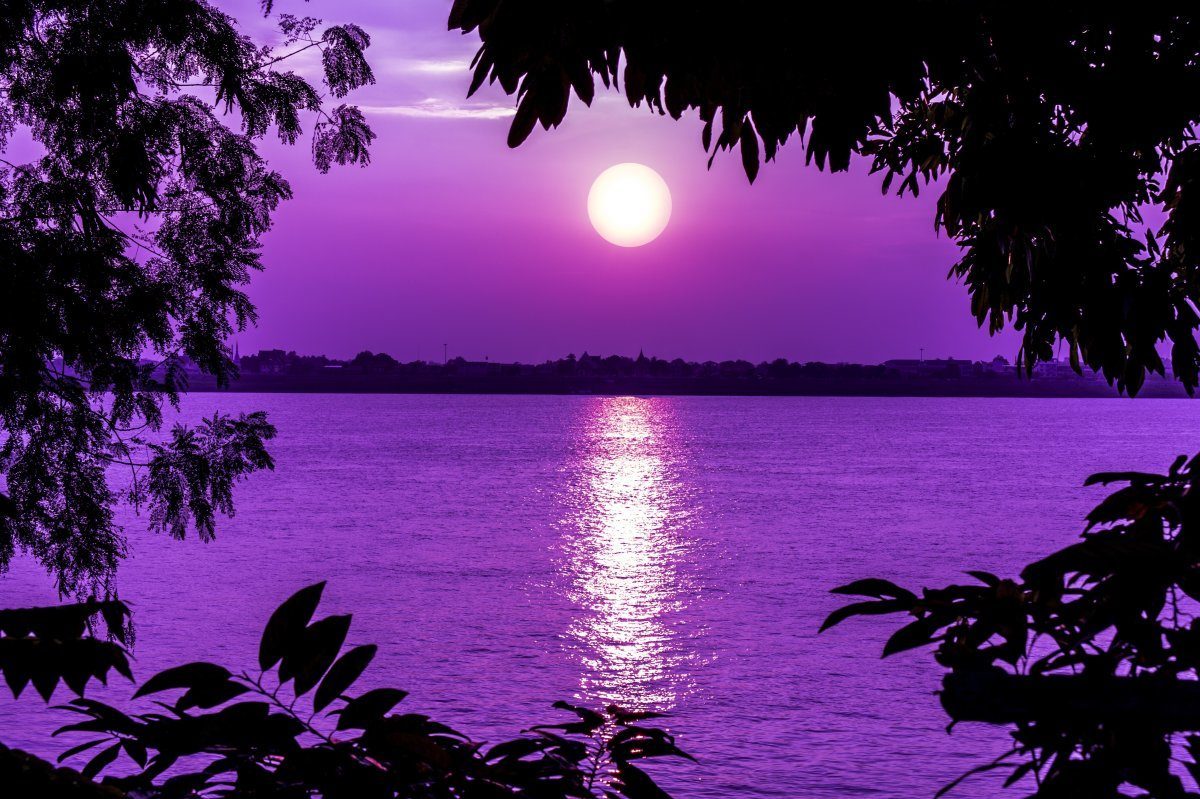 river boat cruises