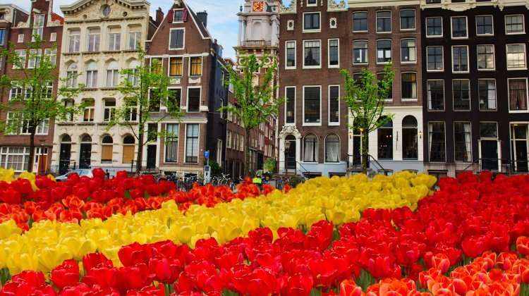 gay friendly countries Netherlands