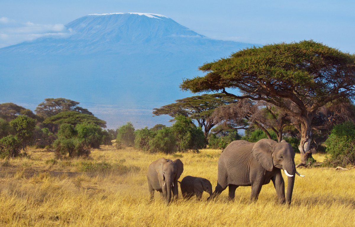 anti gay Tanzania