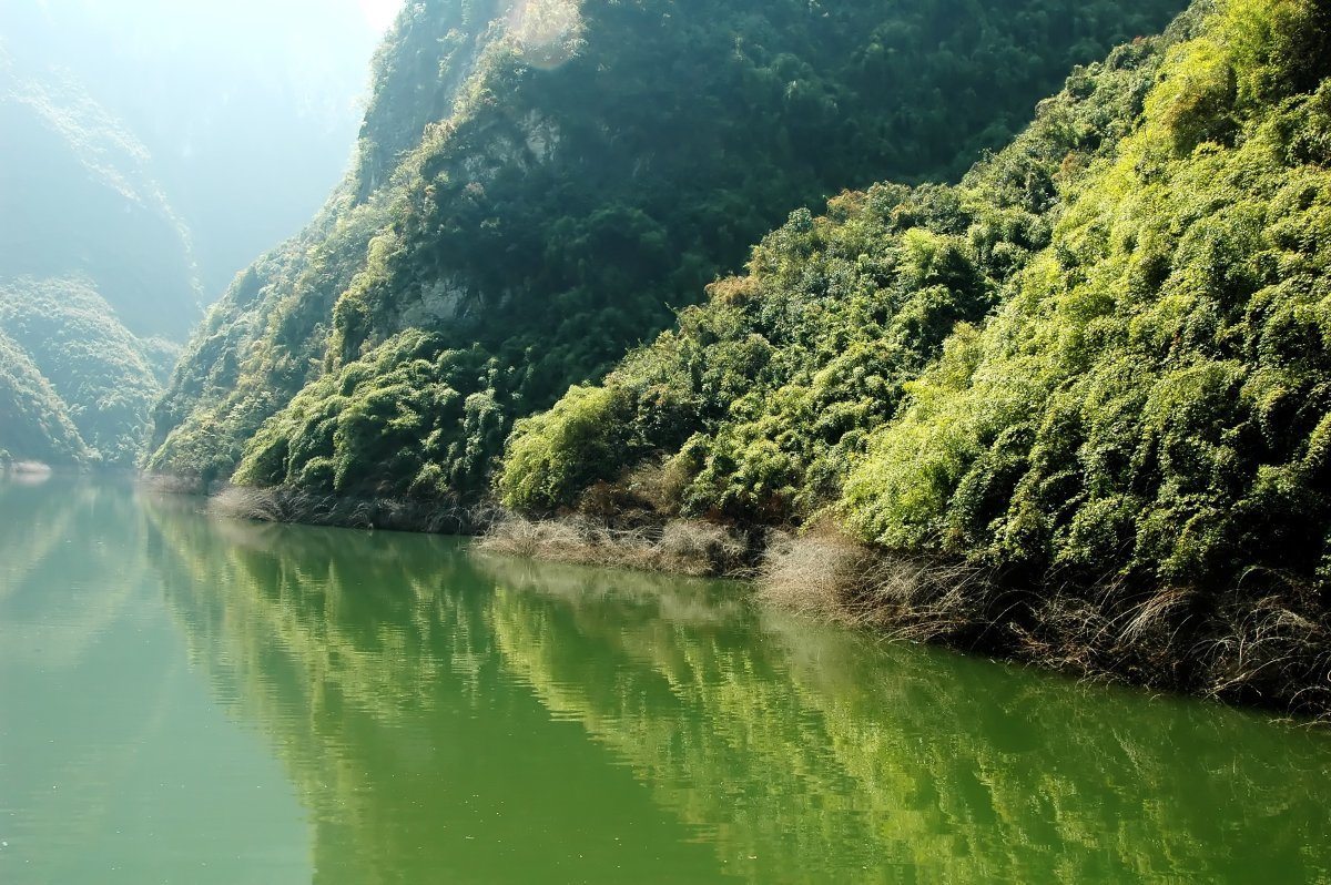 river boat cruises