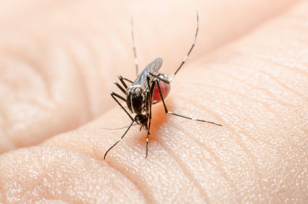 travel health hazards