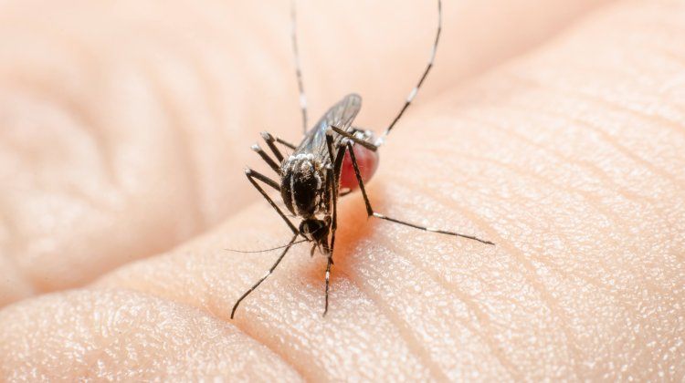 travel health hazards