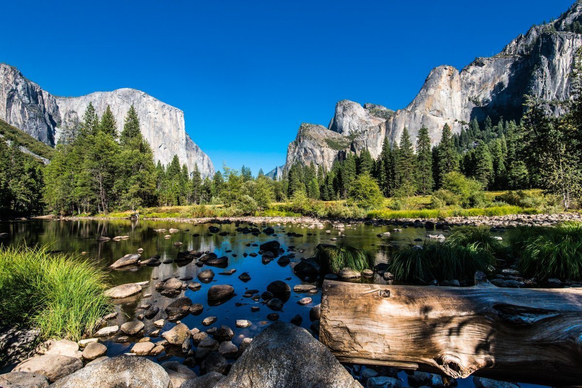 The Best Camping in California