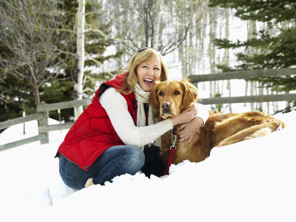 dog friendly cities in America