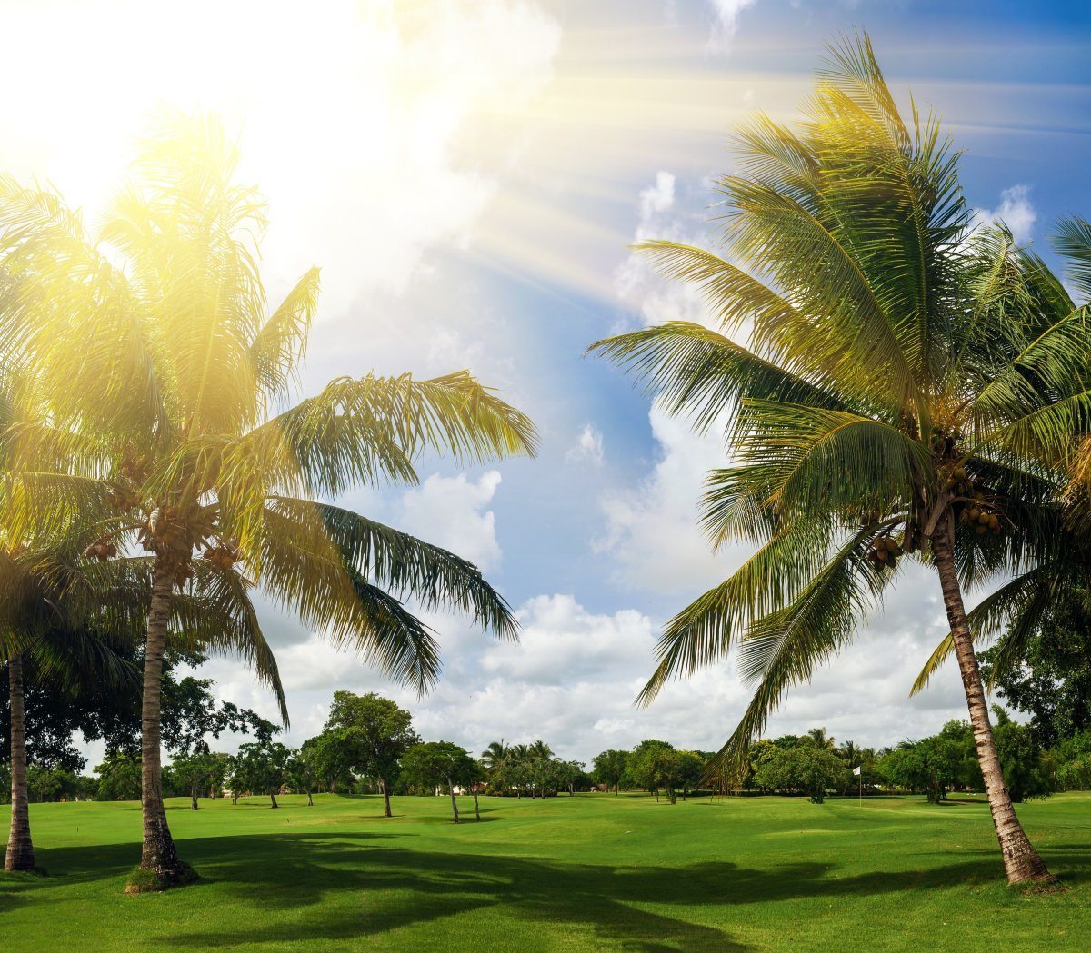 best Caribbean golf vacations