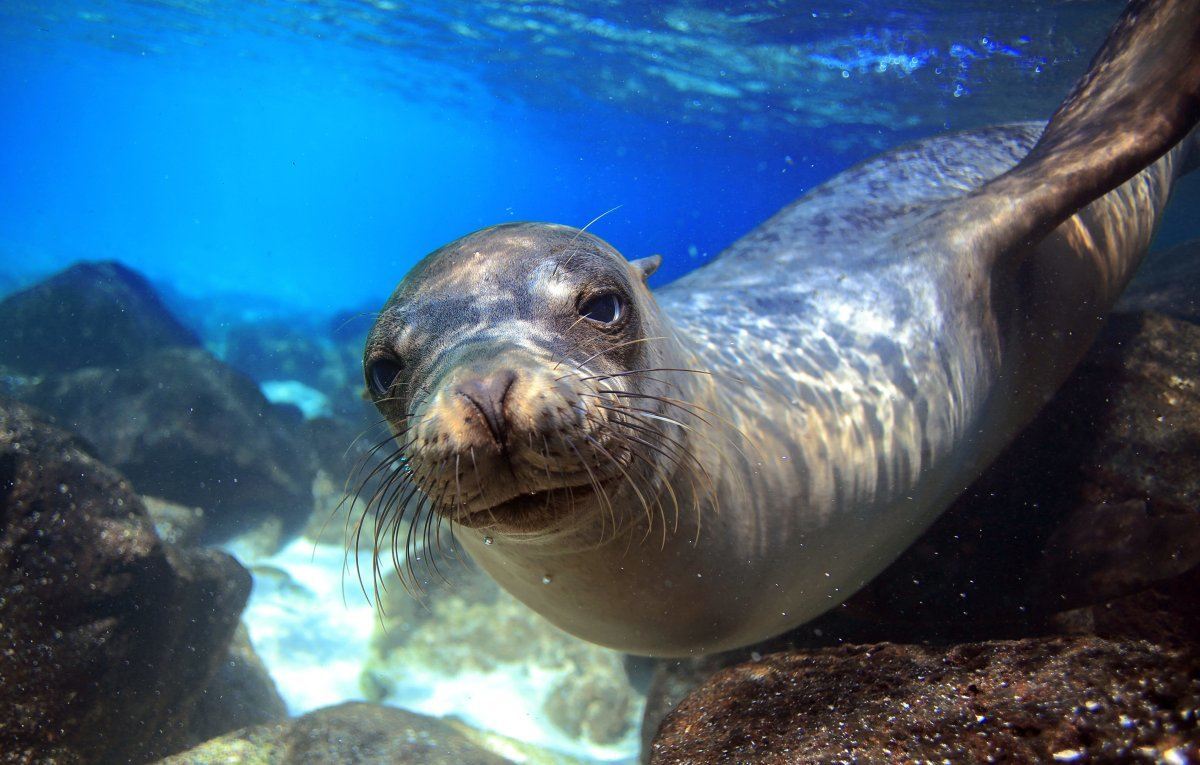 best scuba diving locations in the world