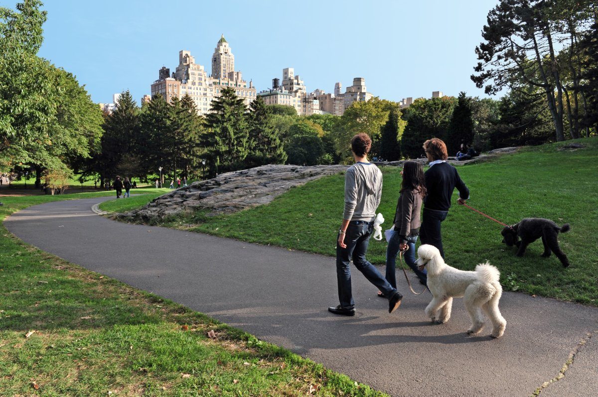 dog friendly cities in America