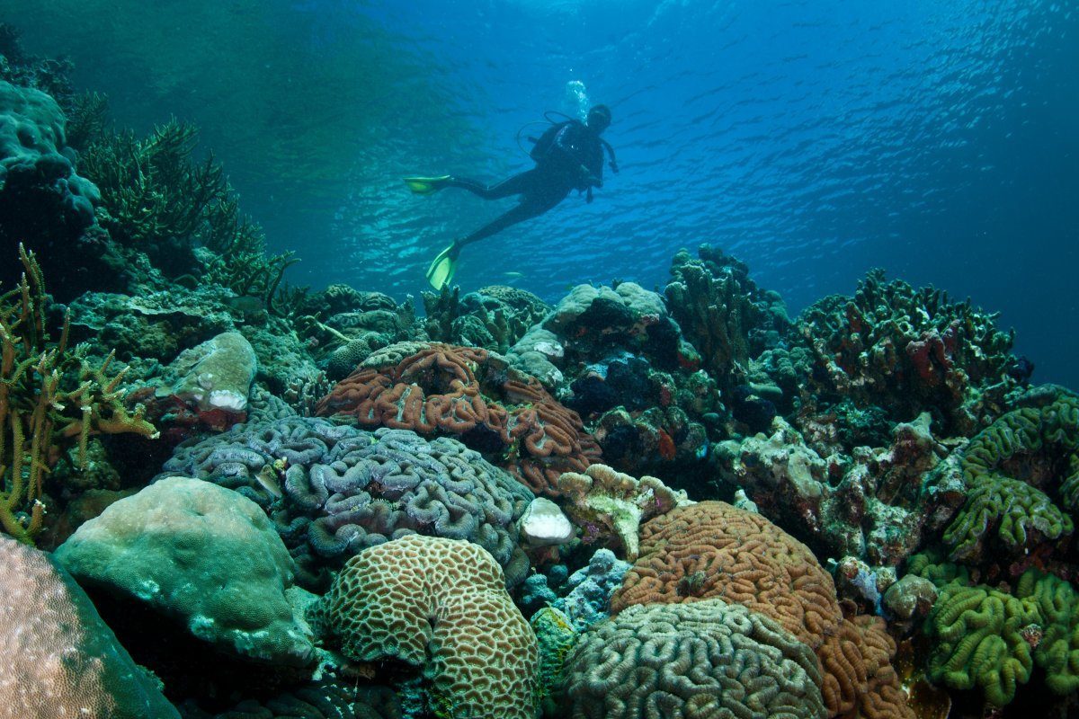 best scuba diving locations in the world