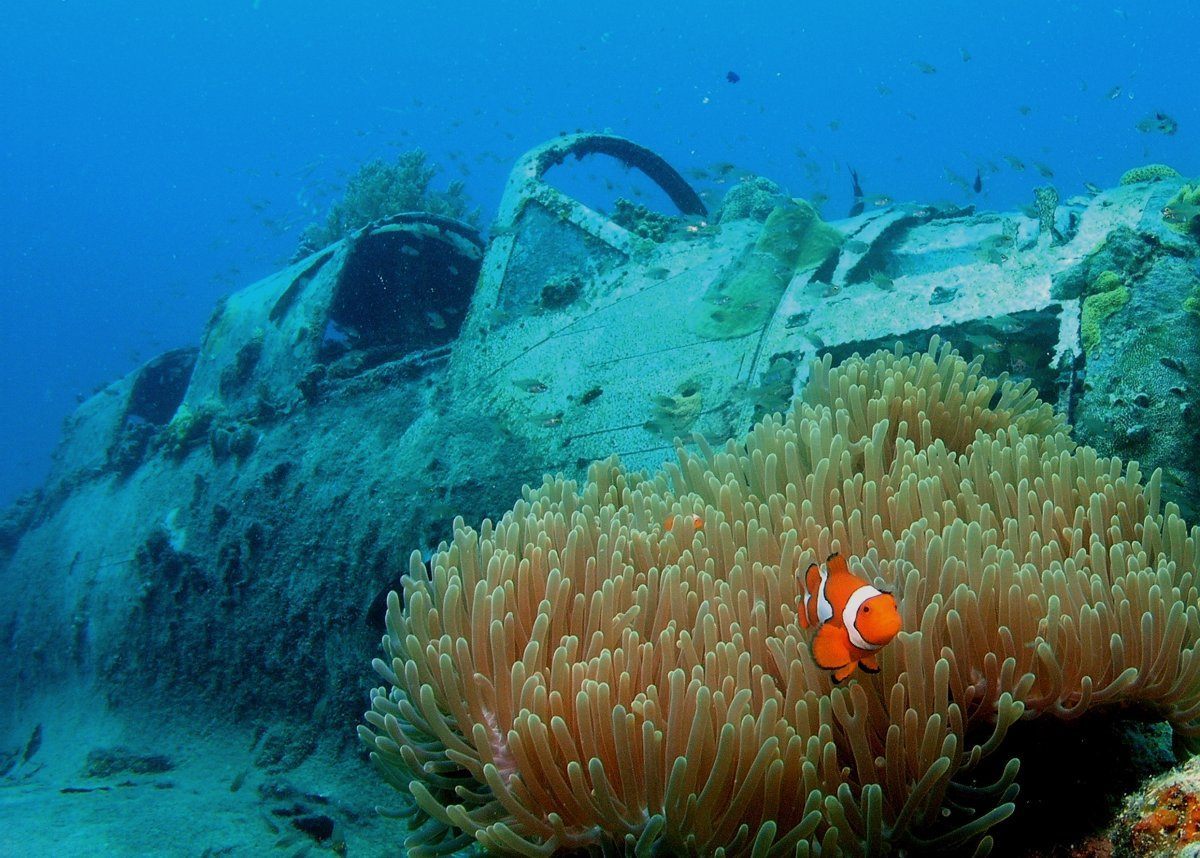 best scuba diving locations in the world