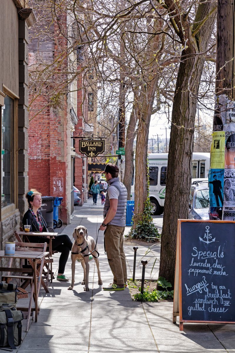 dog friendly cities in America