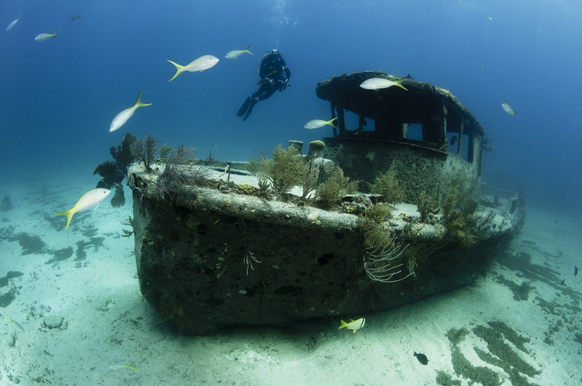 best caribbean islands for scuba diving