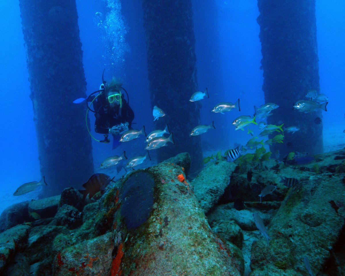 best caribbean islands for scuba diving