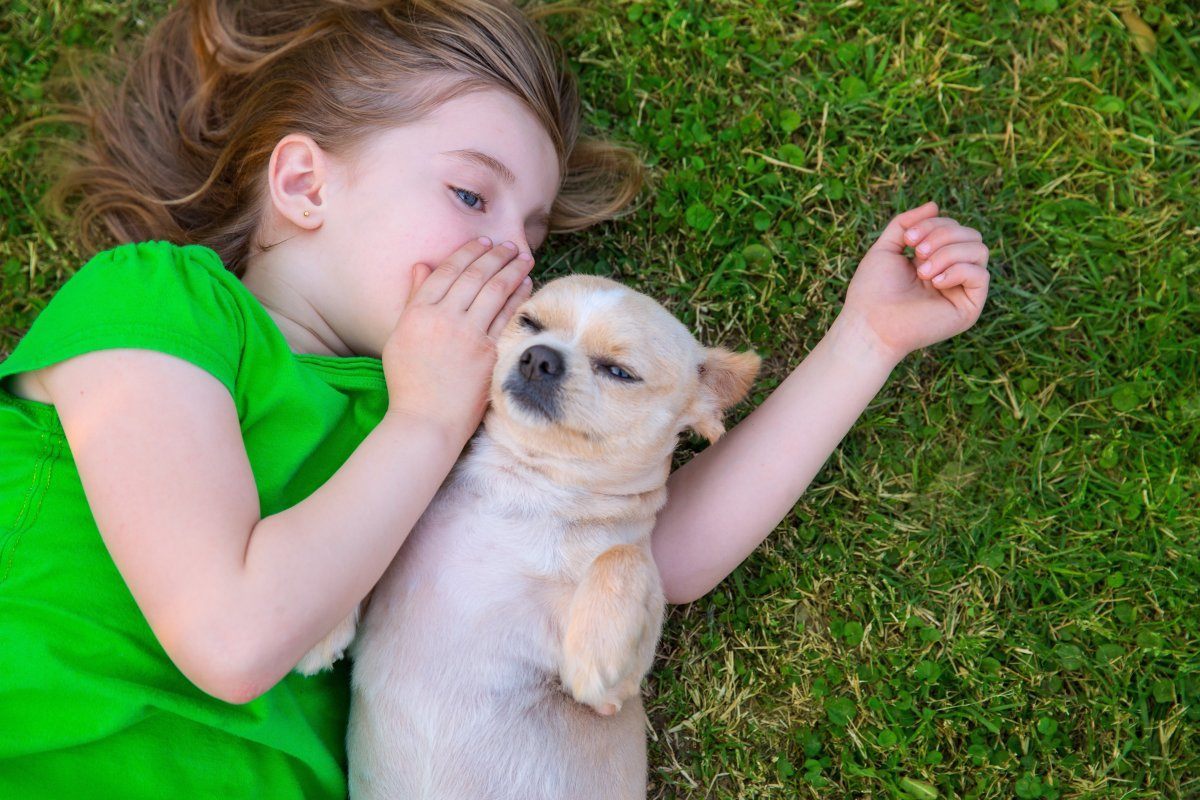 dog friendly places in New York City