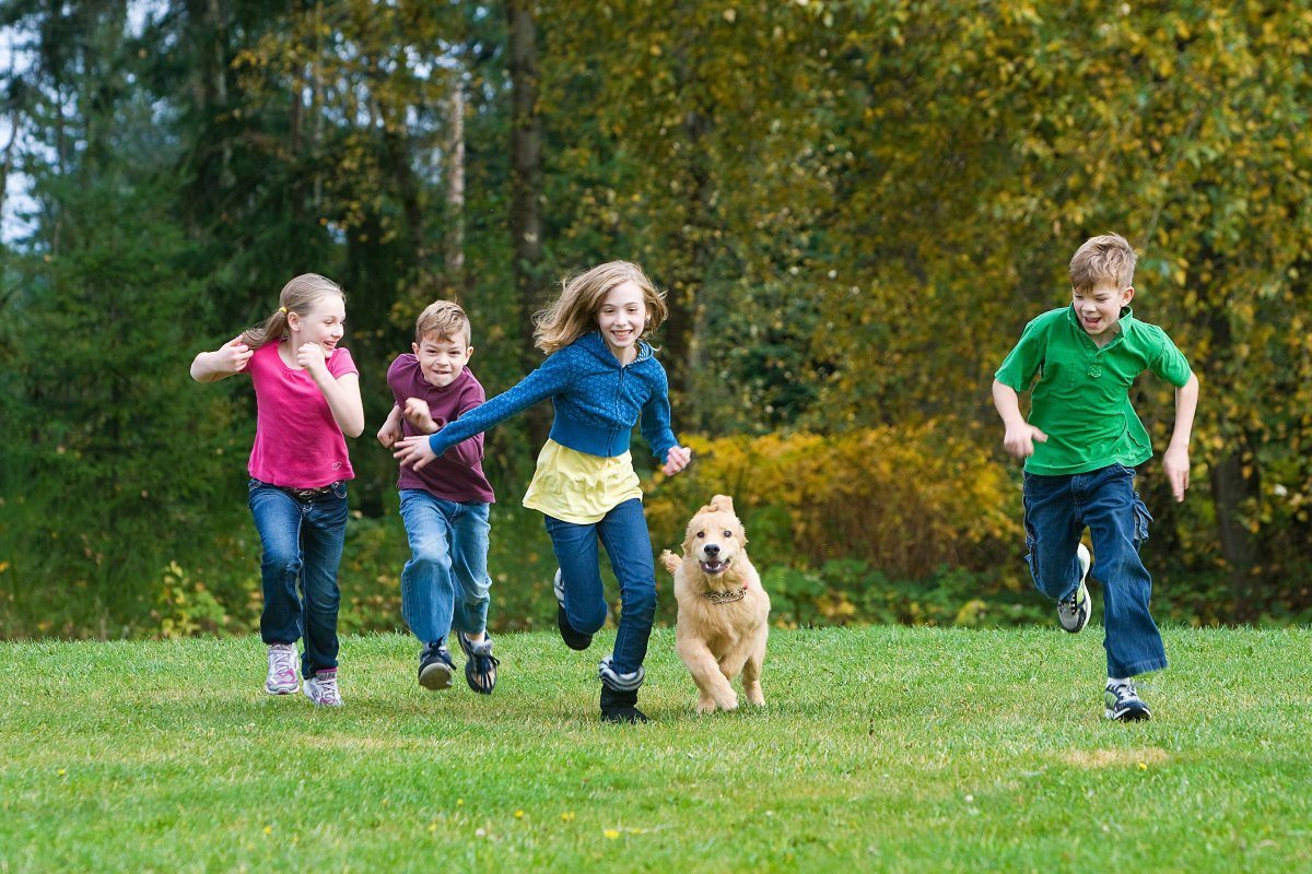 dog friendly places in New York City