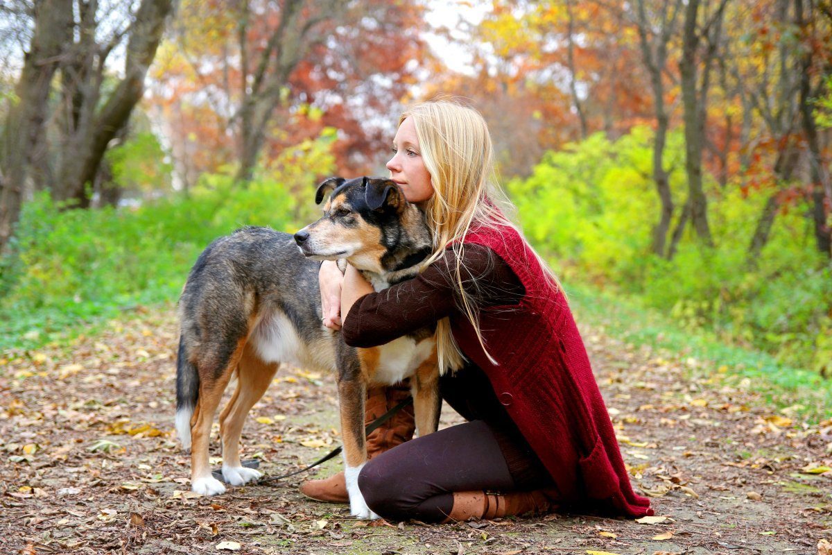dog friendly places in New York City