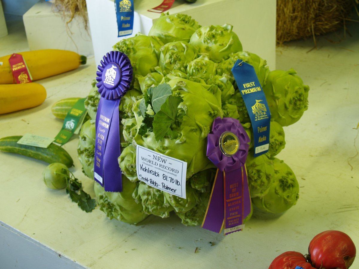 state fairs in the US