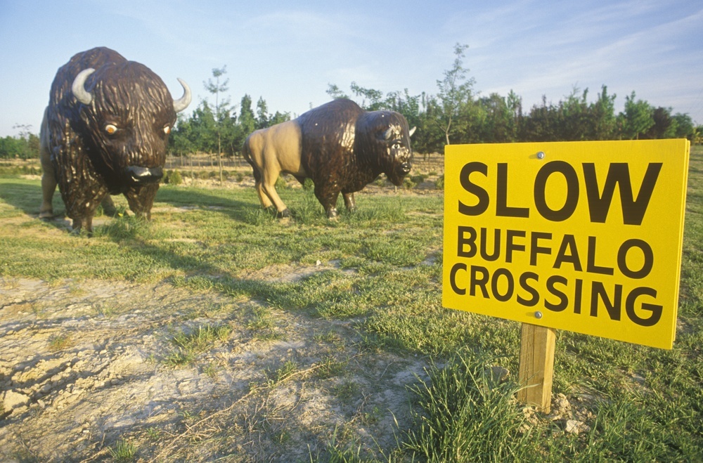 roadside attractions in America