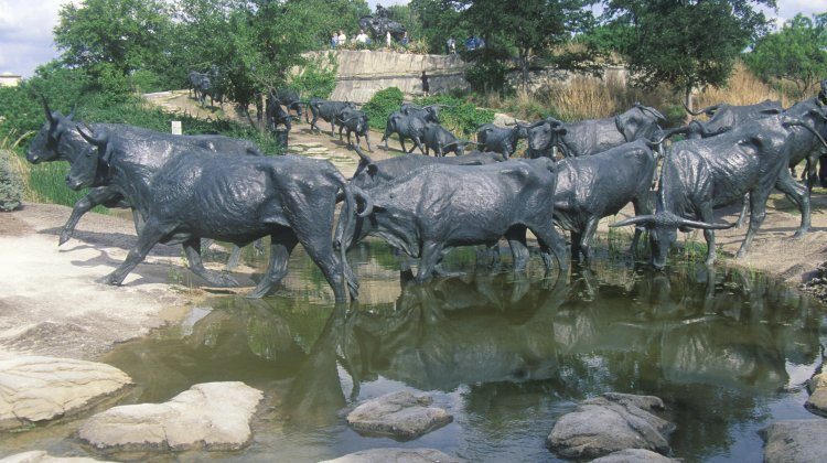 things to see and do in Dallas