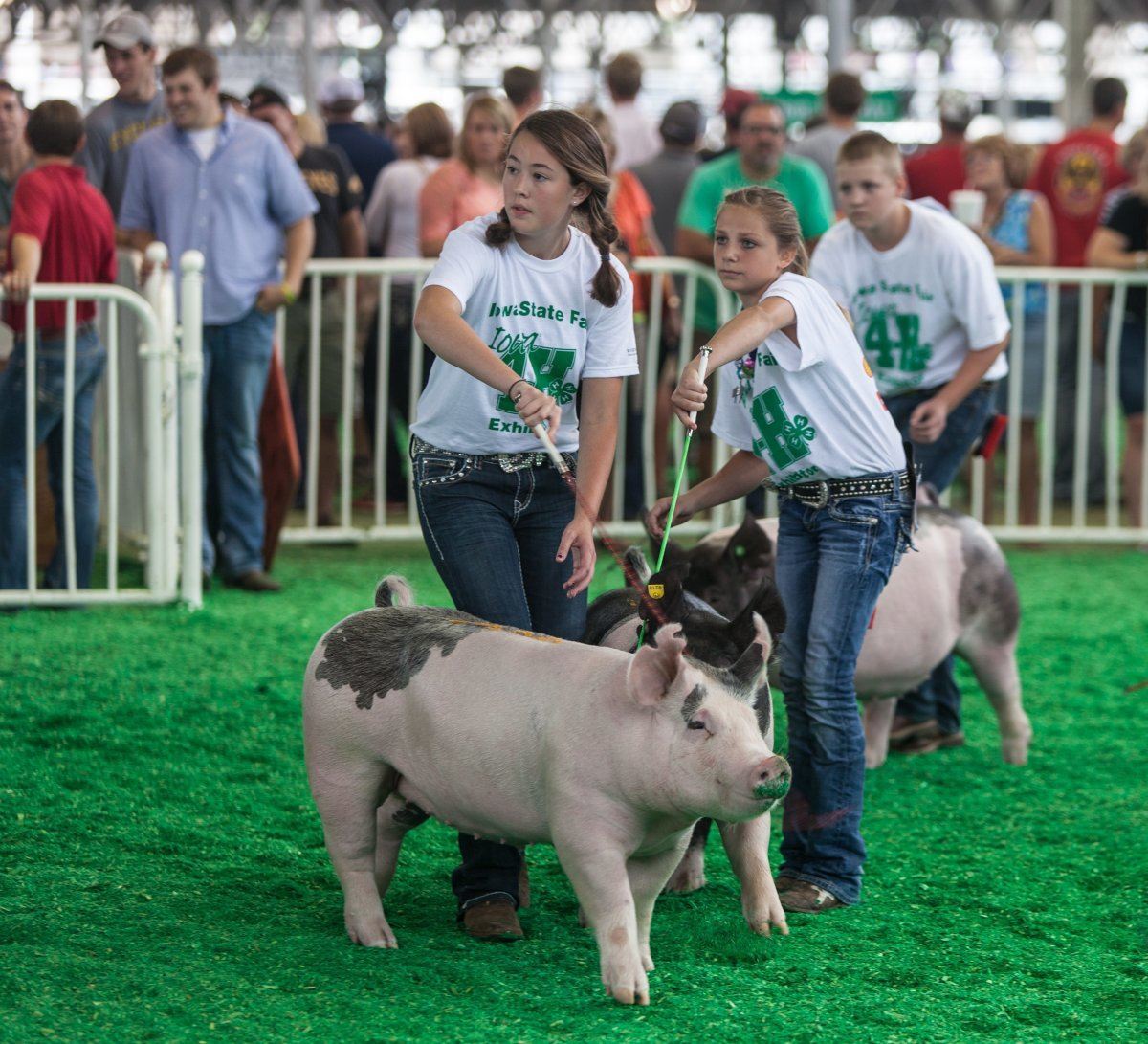 state fairs in the US