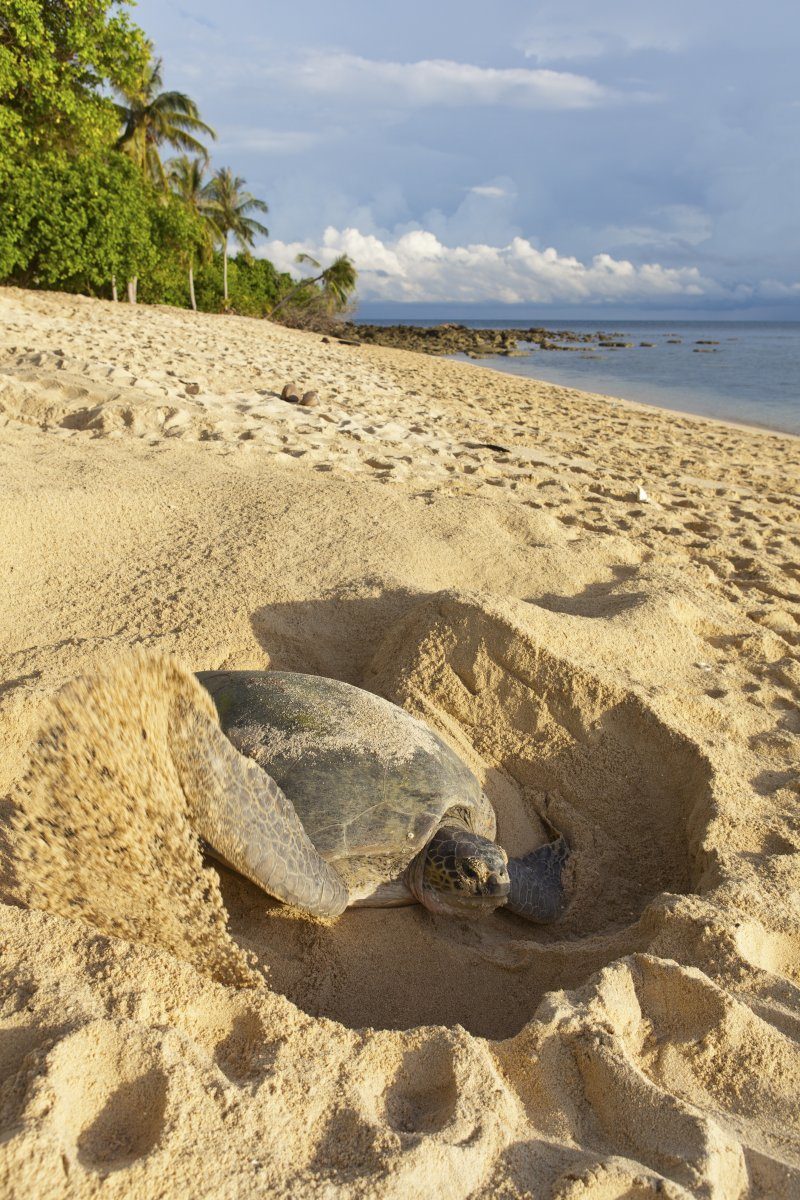 things not to do in Barbados