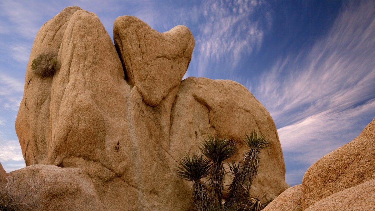heart shaped landmarks