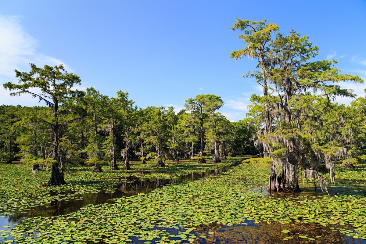 you should skip Texas